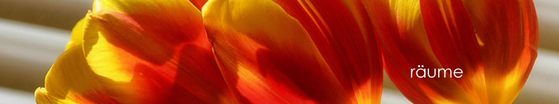 Blume, Hintergrundbild für Mensch im Mittelpunkt, Craniosacral Therapie, Wassershiatsu, Constanze zu Putlitz